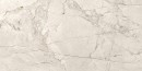 SILVER ROOT LIGHT GREY MATT RECT 59,8X119,8 G1 NT1504-001-1 [OPOCZNO]